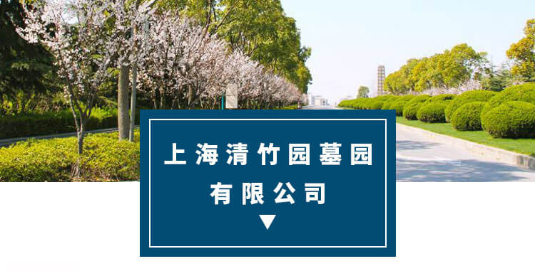 清竹园环境